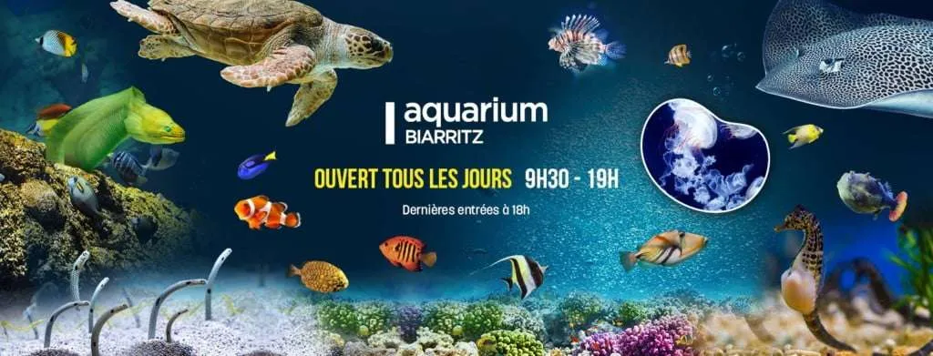 affiche aquarium de biarritz