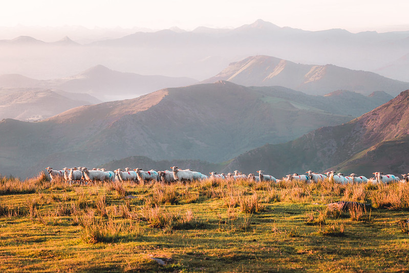 paysage de montagne en plein coeur du pays basque