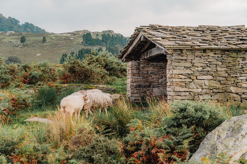 vacances pas cher au pays basque en camping 3 étoiles