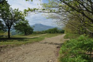 randonnée au camping antton à saint pée sur nivelle