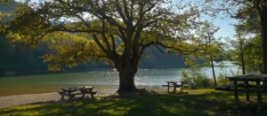 Aire de pique-nique ombragée au bord du lac de Saint-Pée-sur-Nivelle, un cadre naturel idéal pour se détendre en pleine nature